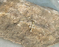 Cross Pendant